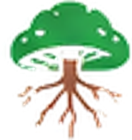 Peproots